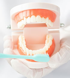 歯周病・予防歯科